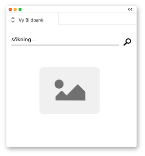 Microsoft Office & Adobe Support
